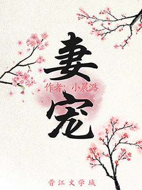妻宠(重生)