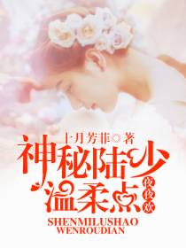 神秘陆少温柔点