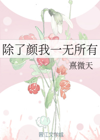 除了颜我一无所有
