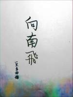 向南飞