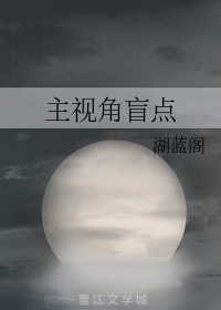 主视角盲点