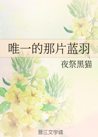 唯一的那片蓝羽