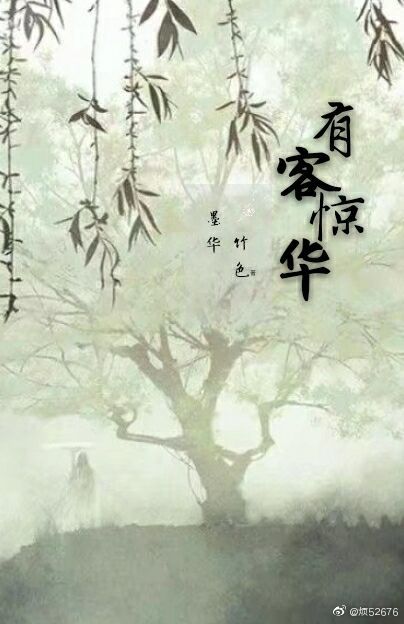 有客惊华