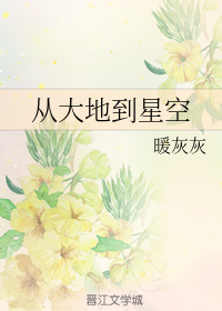 从大地到星空