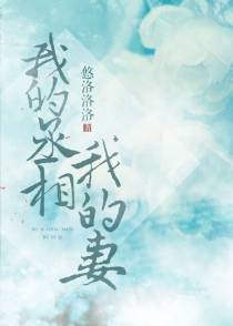我的丞相我的妻（上）