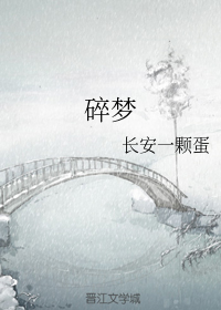 碎梦