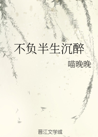 不负半生沉醉