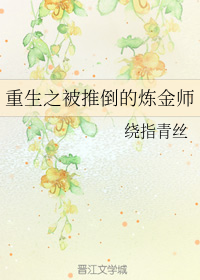 重生之被推倒的炼金师