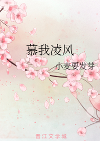 慕我凌风（下）