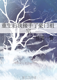 重生后我接手了豪门祖宗