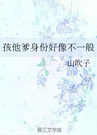 孩他爹身份好像不一般