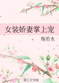 女装娇妻掌上宠