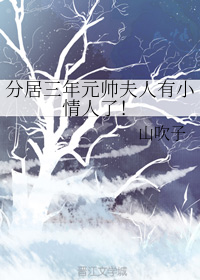 分居三年元帅夫人有小情人了！