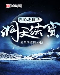 我的战机是洞天法宝
