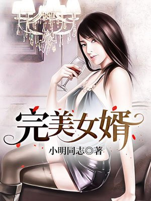 完美女婿