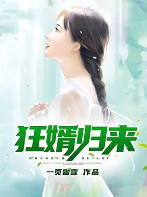 狂婿归来.