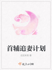 首辅追妻计划