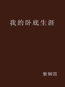 我的卧底生涯