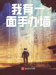 我有一面手办墙