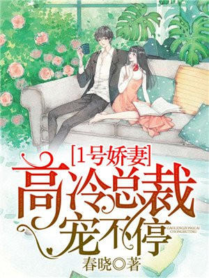 1号娇妻：高冷总裁宠不停