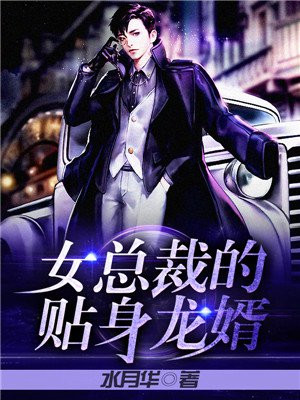 女总裁的贴身龙婿