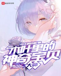 木叶里的神奇宝贝大师