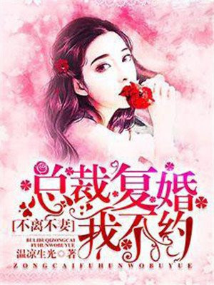 不离不妻：总裁复婚我不约