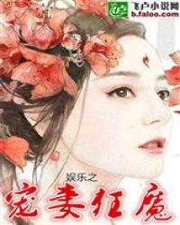 娱乐之宠妻狂魔