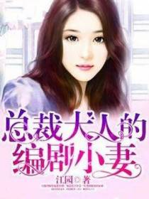 总裁大人的编剧小妻
