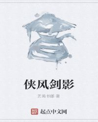 侠风剑影