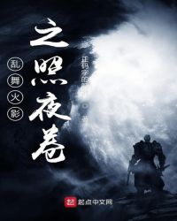 乱舞火影之照夜卷