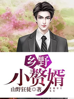 乡野小赘婿