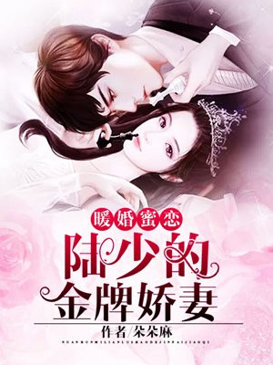 暖婚蜜恋：陆少的金牌娇妻