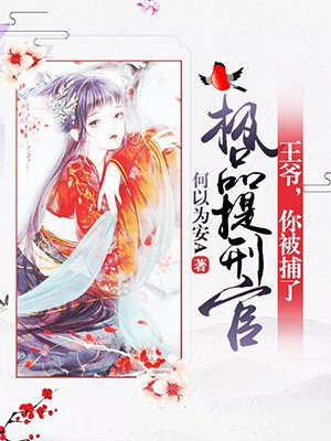 极品提刑官：王爷，你被捕了