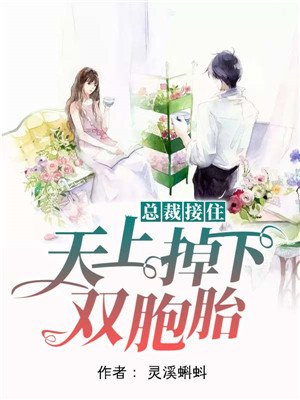 总裁接住，天上掉下双胞胎温舒潼
