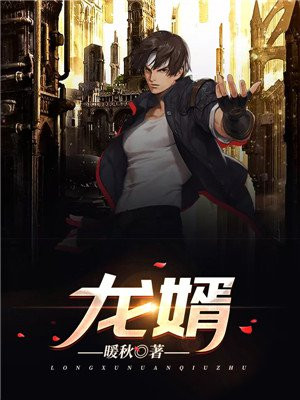 龙婿张平