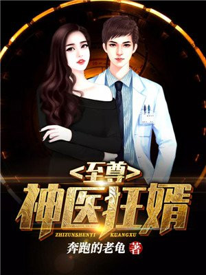 叶皓陆倩文小说