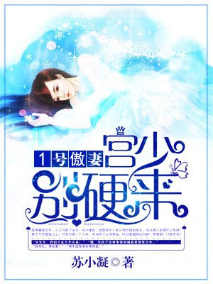 宫泽宸沈安安