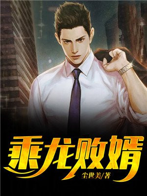 败婿易天