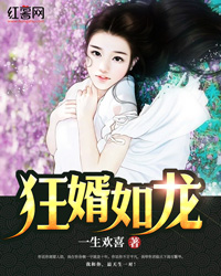 狂婿如龙陆叶