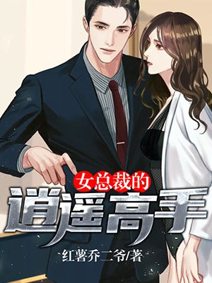 总裁的高手莫凡