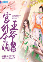 宫外夺嫡王爷入赘