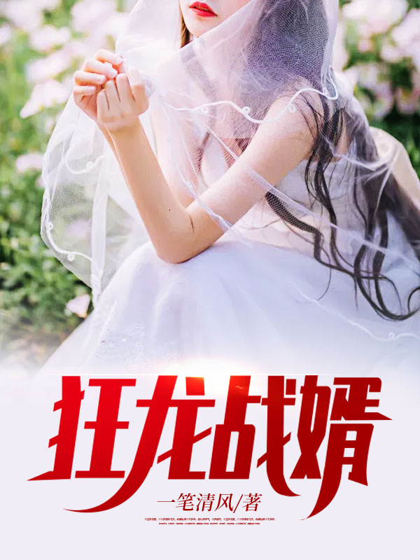 狂龙战婿苏晴云千帆
