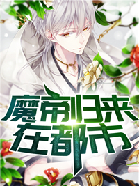 都市魔帝林飞