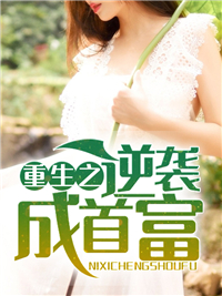重生之逆袭成首富