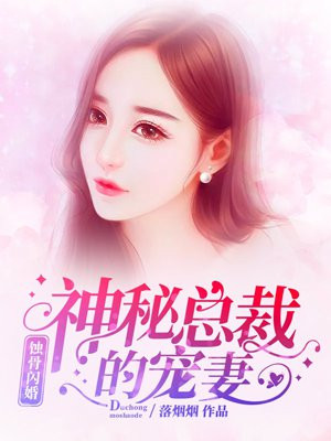 神秘总裁的宠妻叶栗陆柏庭