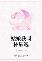 姑娘我叫林辰逸