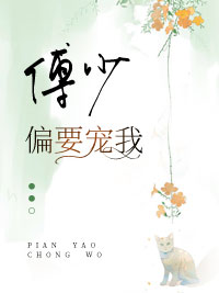 傅少偏要宠我