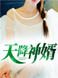 天降神婿莫南苏冰清