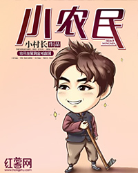 小农民王木生